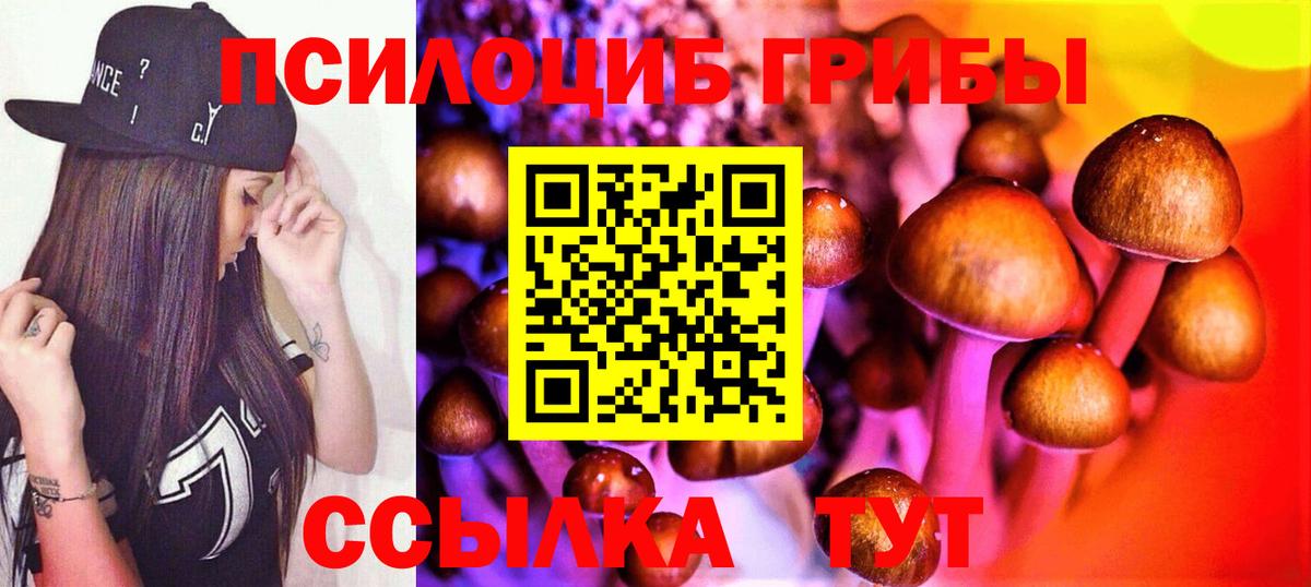 Галлюциногенные грибы GOLDEN TEACHER  Вход с VPN  где можно купить наркотик  Кисловодск  Псилоцибиновые грибы MAGIC MUSHROOMS 