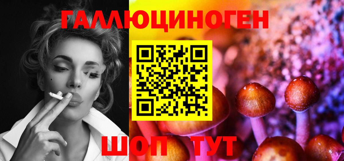 Псилоцибиновые грибы Magic Shrooms Кисловодск